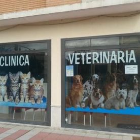 Rótulos Luminosos Luce, S.L. vinilo veterinaria
