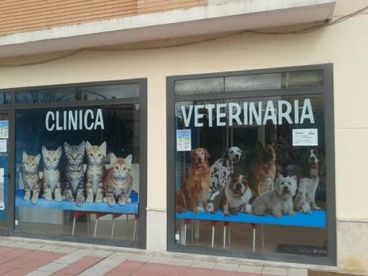 Rótulos Luminosos Luce, S.L. vinilo veterinaria